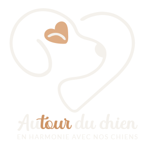 Autour du Chien - Ploudalmézeau - Finistère